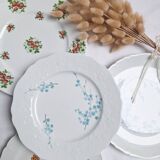 Porcelain dinner plates