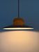 Lampe vintage danoise de design espace avec une combinaison de couleurs cool.
