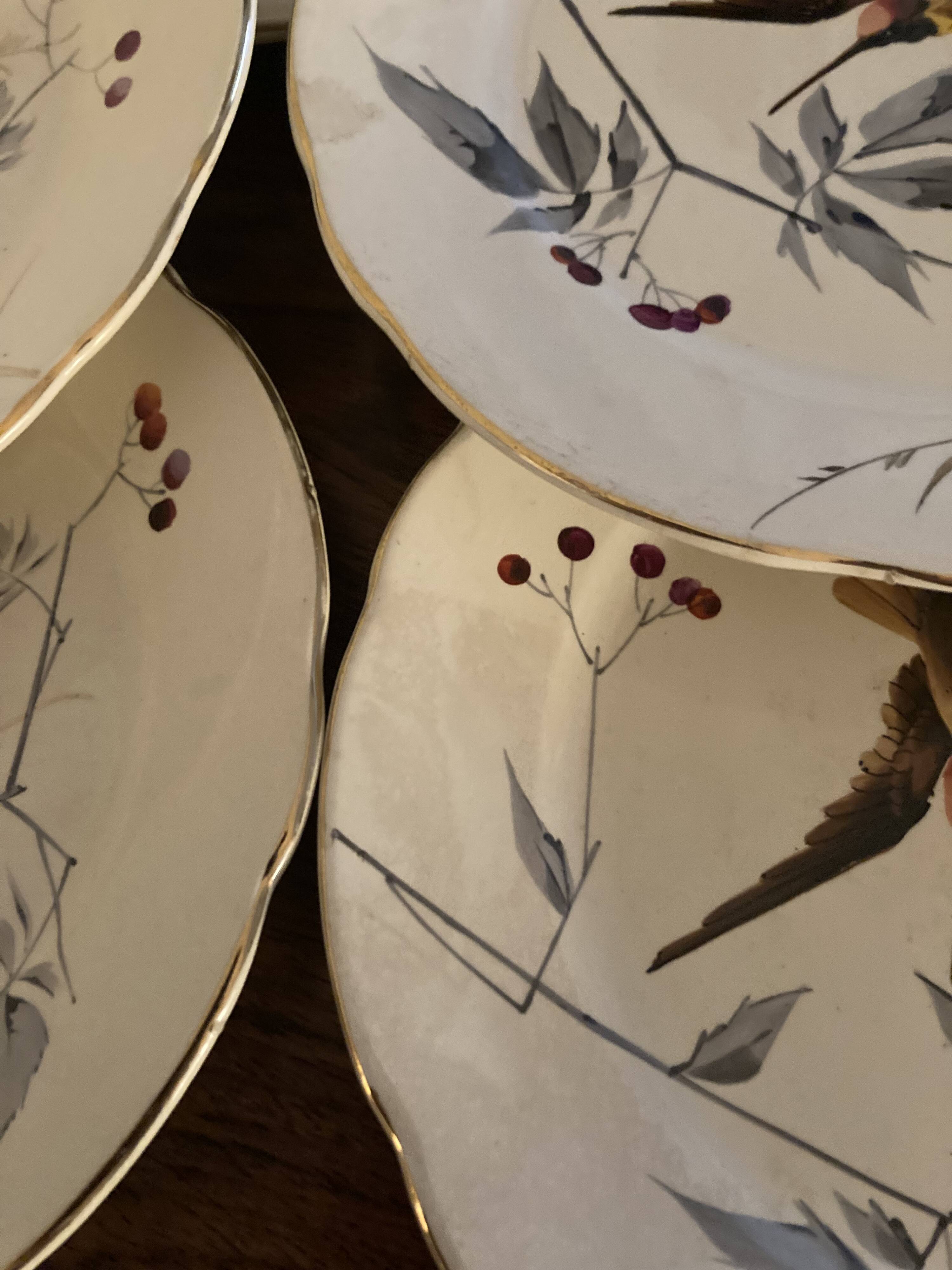13 decorative plates with hummingbird design in fine earthenware by Mouzin Lecat, 19th century.