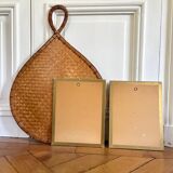 Pair of vintage botanical plates