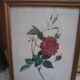 Botanical board