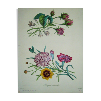 Planche botanique " Bouquets Renversés "