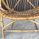 Rattan shell armchair