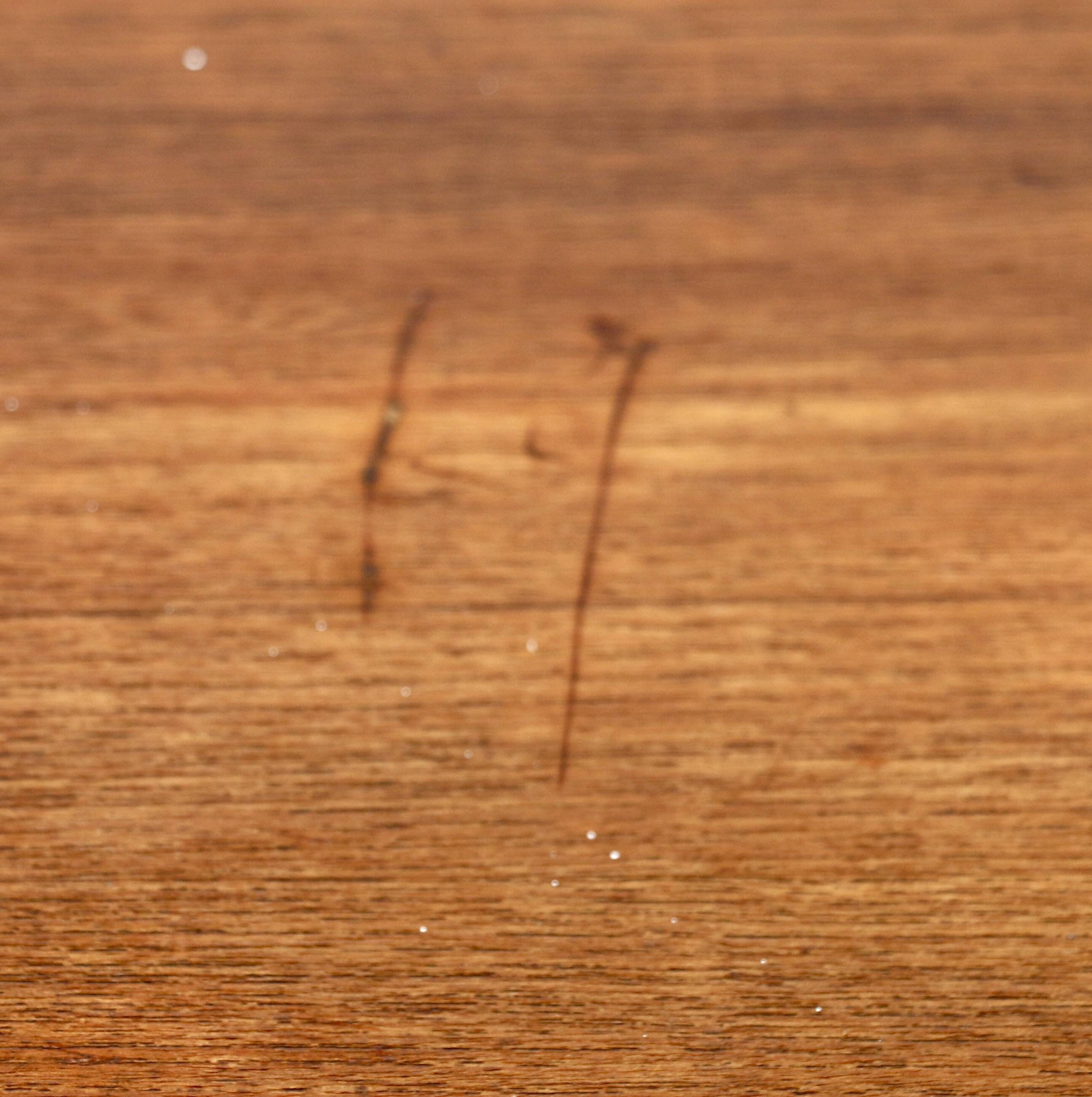 A sideboard, France 1960s