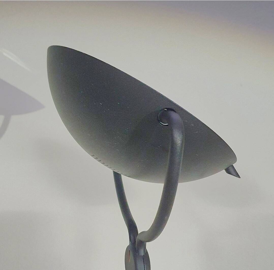 Very rare Paolo Piva for Stefano Cevoli floorlamp Meridiana 185cm