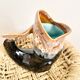 Fish pitcher