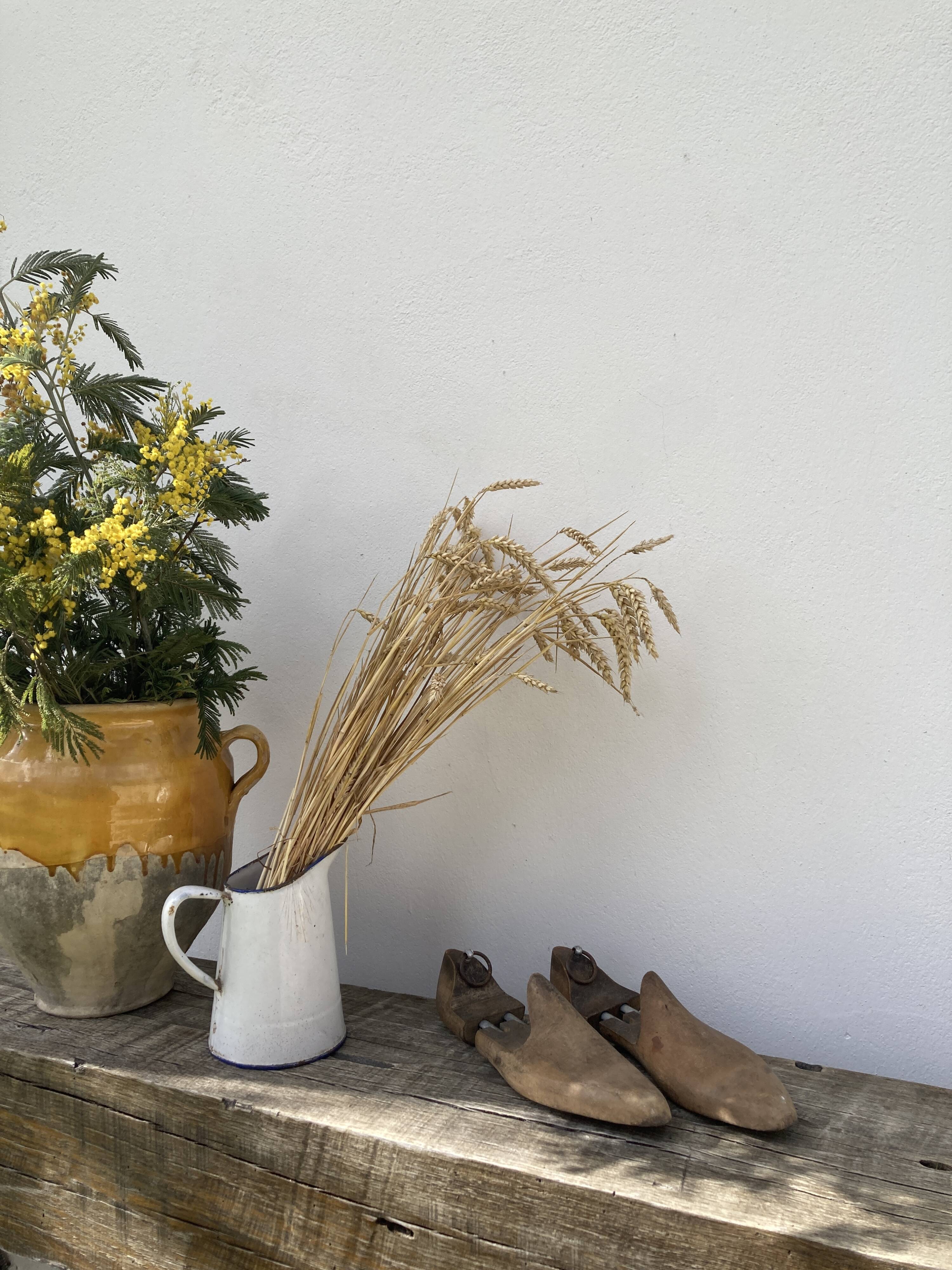 Old wooden shoe trees shapes vintage shoes