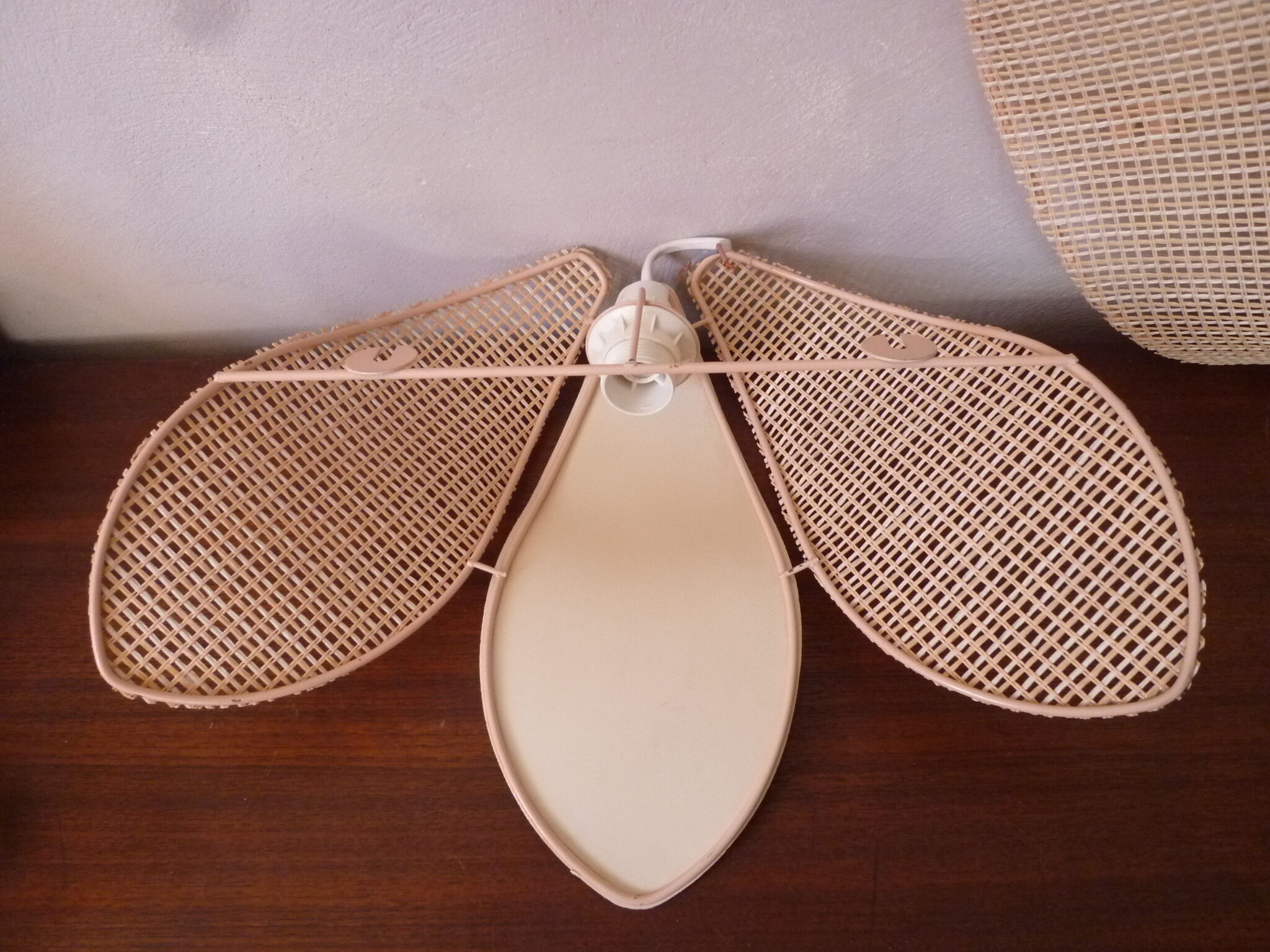 Duo of pink corolla sconces