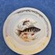 Vintage Fish Plates in Limoges Porcelain – Limoges Enamels