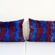 Paire de coussins