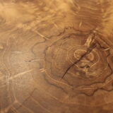 Extra table / teak root sofa tip