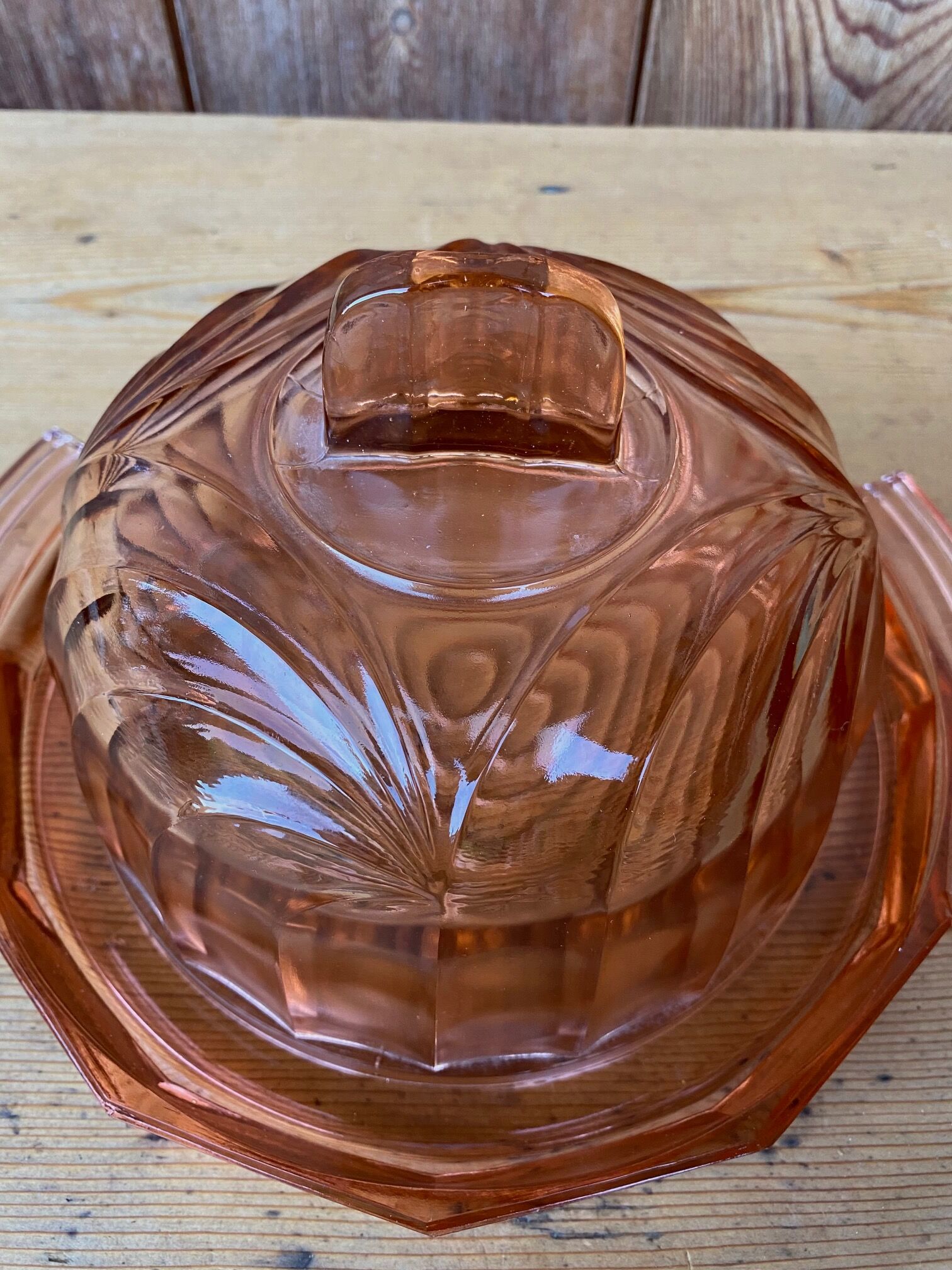 Rosaline art deco glass bell jar and its tray