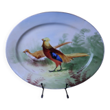 Antique large oval Limoges porcelain dish with painted pheasant decoration.