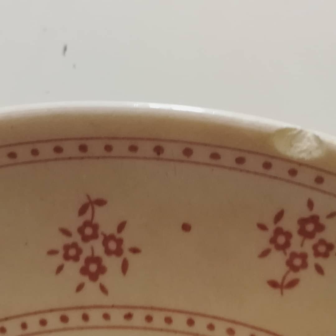 Plates to desserts, fine faience of Gien, flowers pink powder