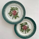 2 antique Pexonne earthenware dessert plates with grapes