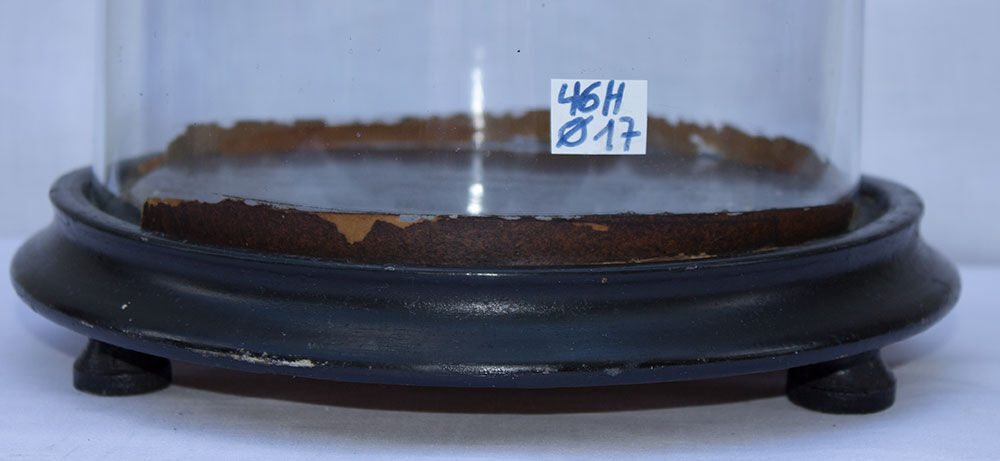 Ancient glass globe 46 x 17 cm bridal globe