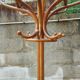 Parrot coatrack