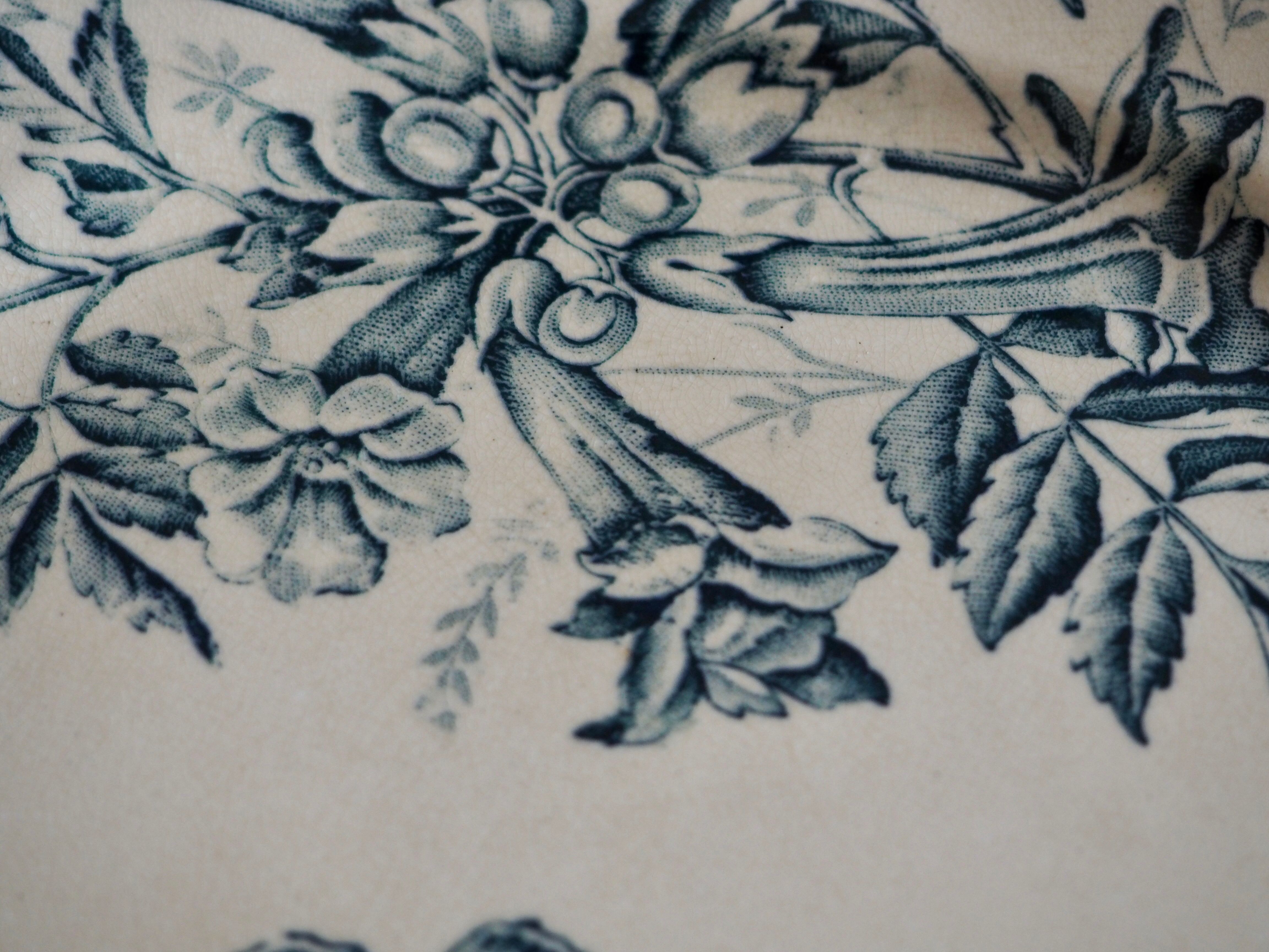 Old Badonviller Plates