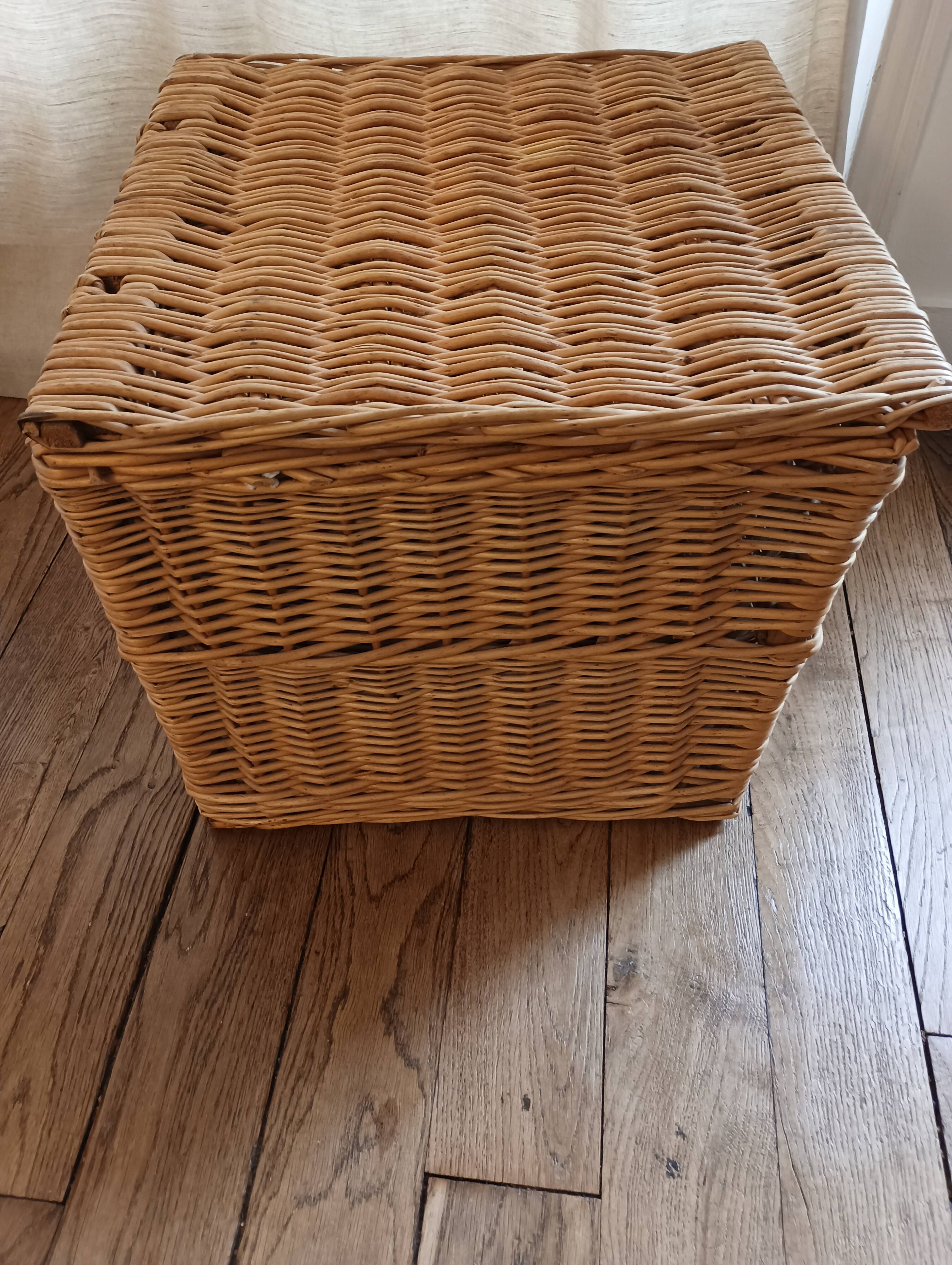 Wicker trunk