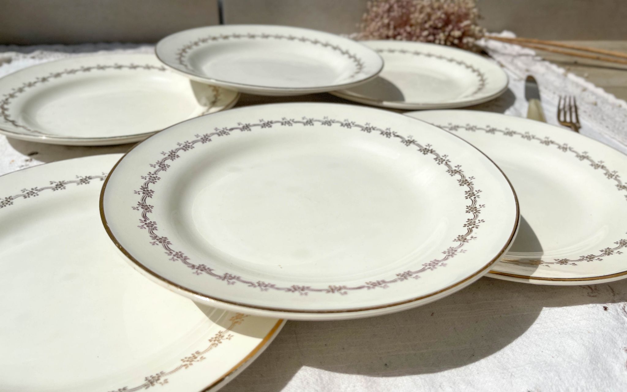 6 opaque porcelain dinner plates, Digoin model "Suzy"