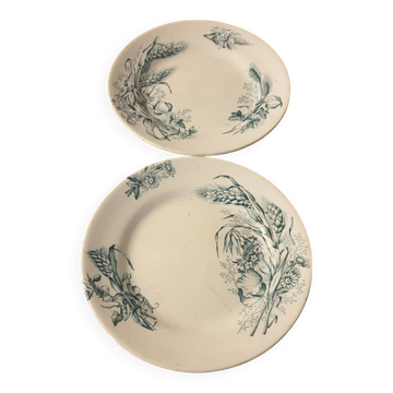 2 Assiettes anciennes