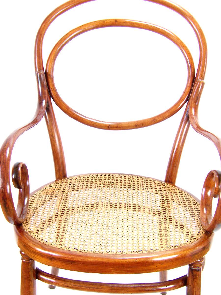 Viennese armchair Nr. 10 by Michael Thonet 1870