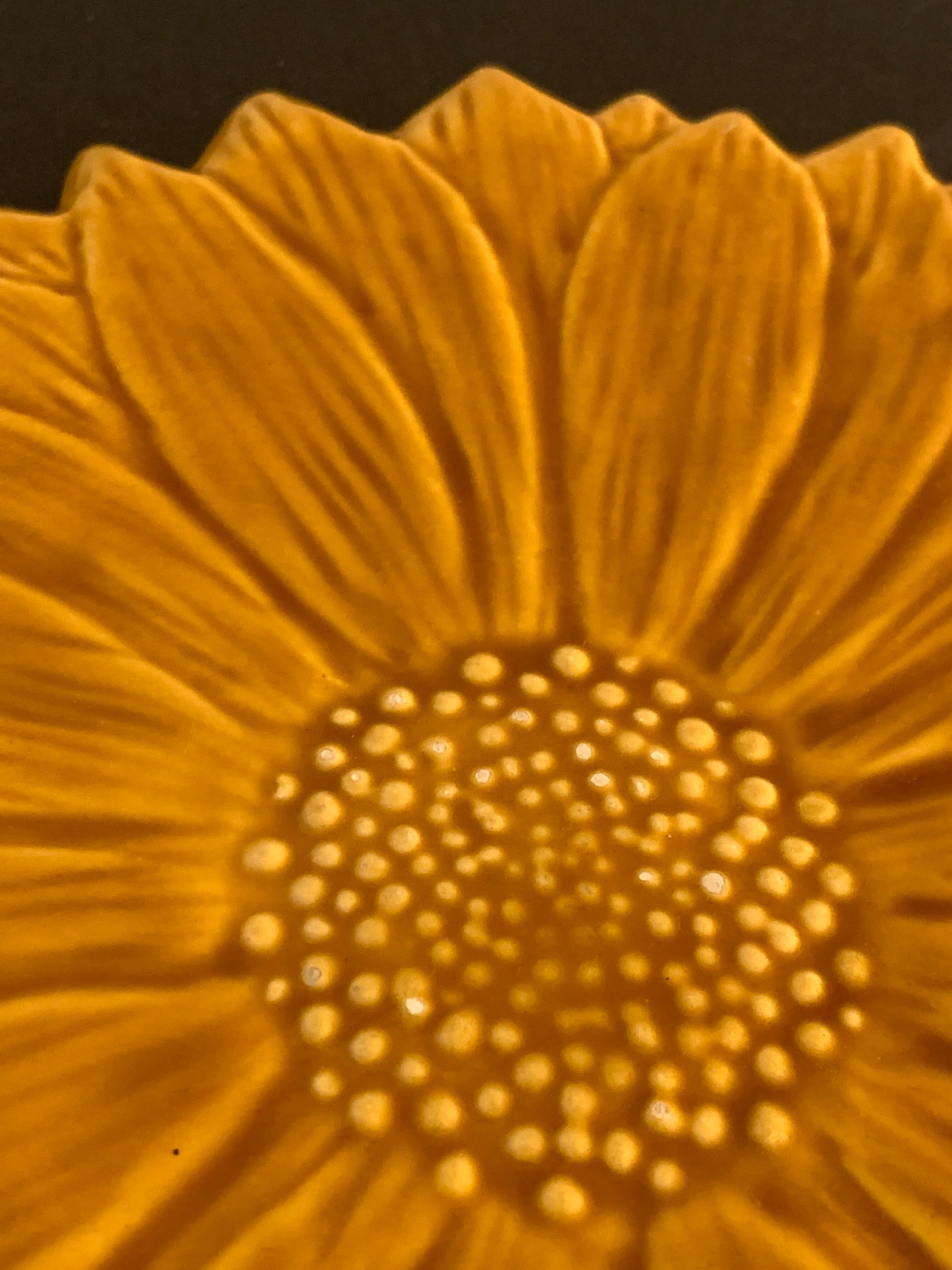 Underside Vallauris Aegitna, Saltalamacchia, sunflower model