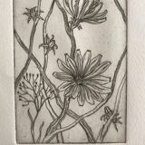 Etching signed by violayne hulné, study of clematis, 1984