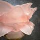 Applique ancienne tulipe pâte de verre rose porcelaine/ laiton art déco art déco 1920 n°2