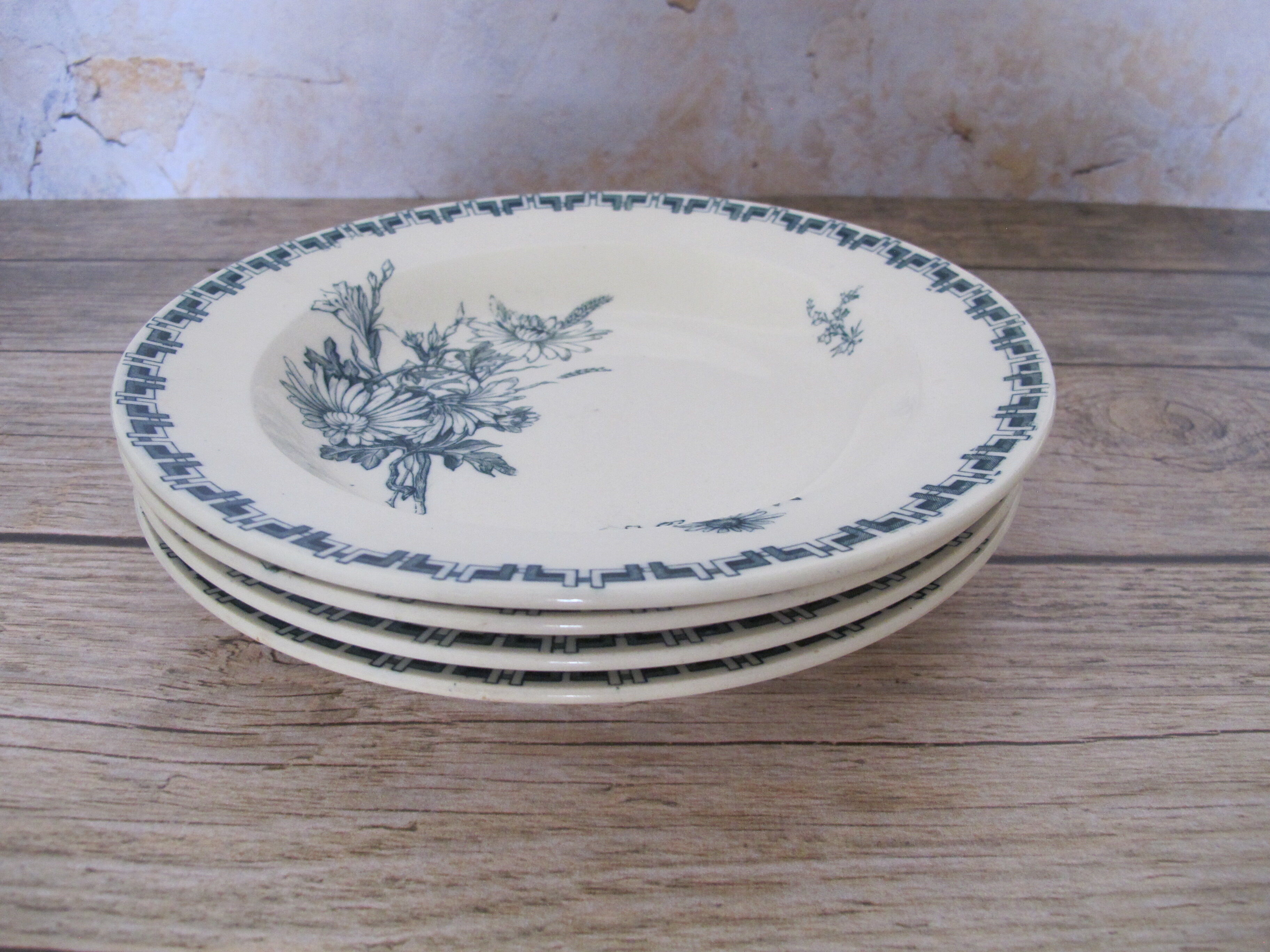 Set of 4 hollow plates in Iron Earth of Sarreguemines, model "Linnée".