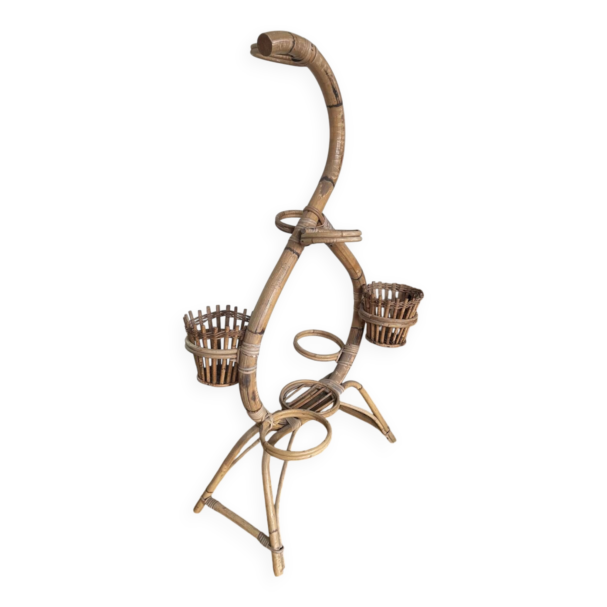 Serpent plant holder