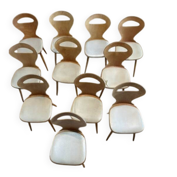Lot of Baumann chairs model Ant.