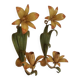 Floral single-arm wall lights, wall sconces, toleware, French vintage enamel.