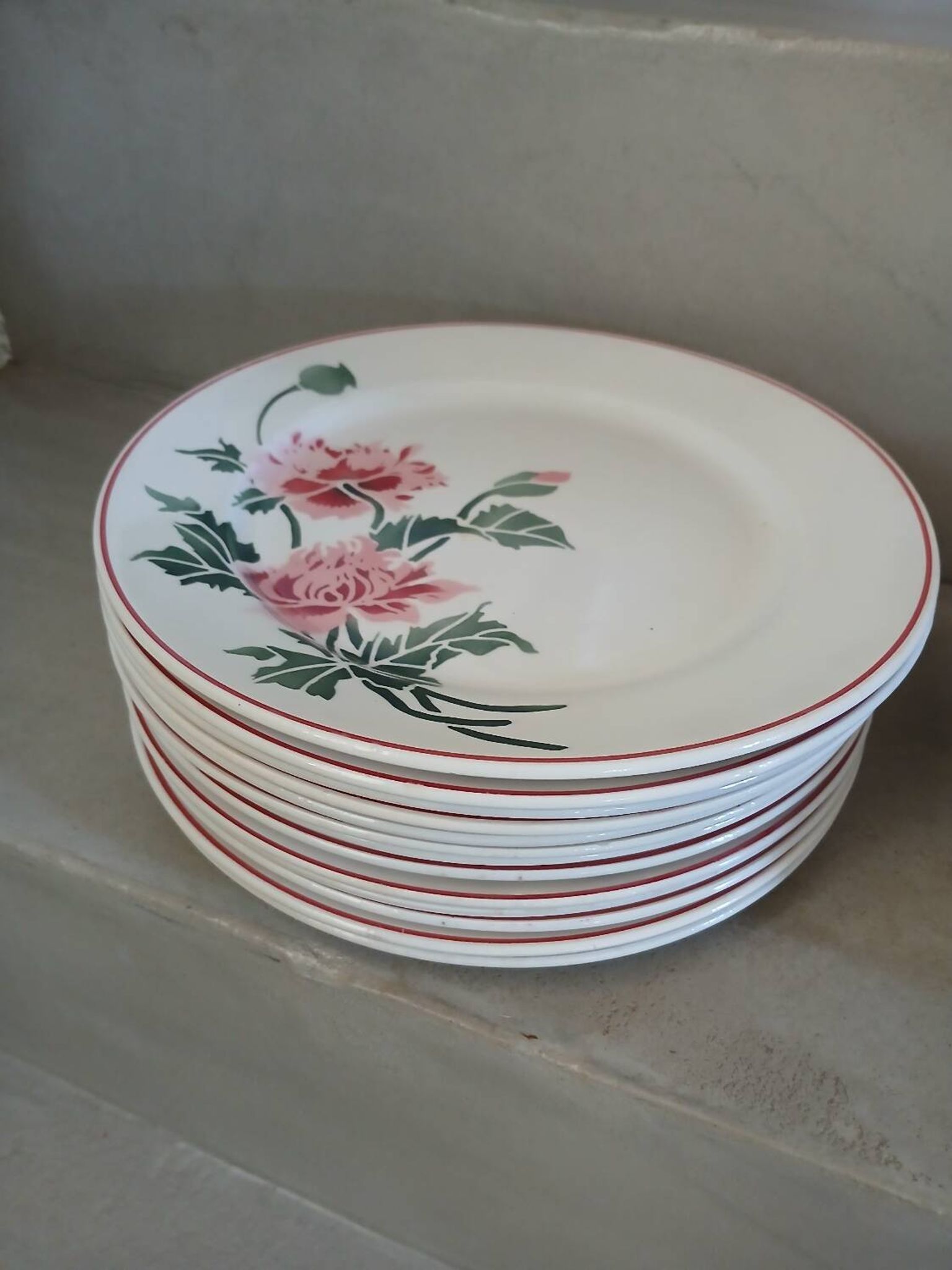 12 assiettes plates anciennes + soupière HBCM