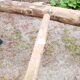 Old wood scale 3.2 m