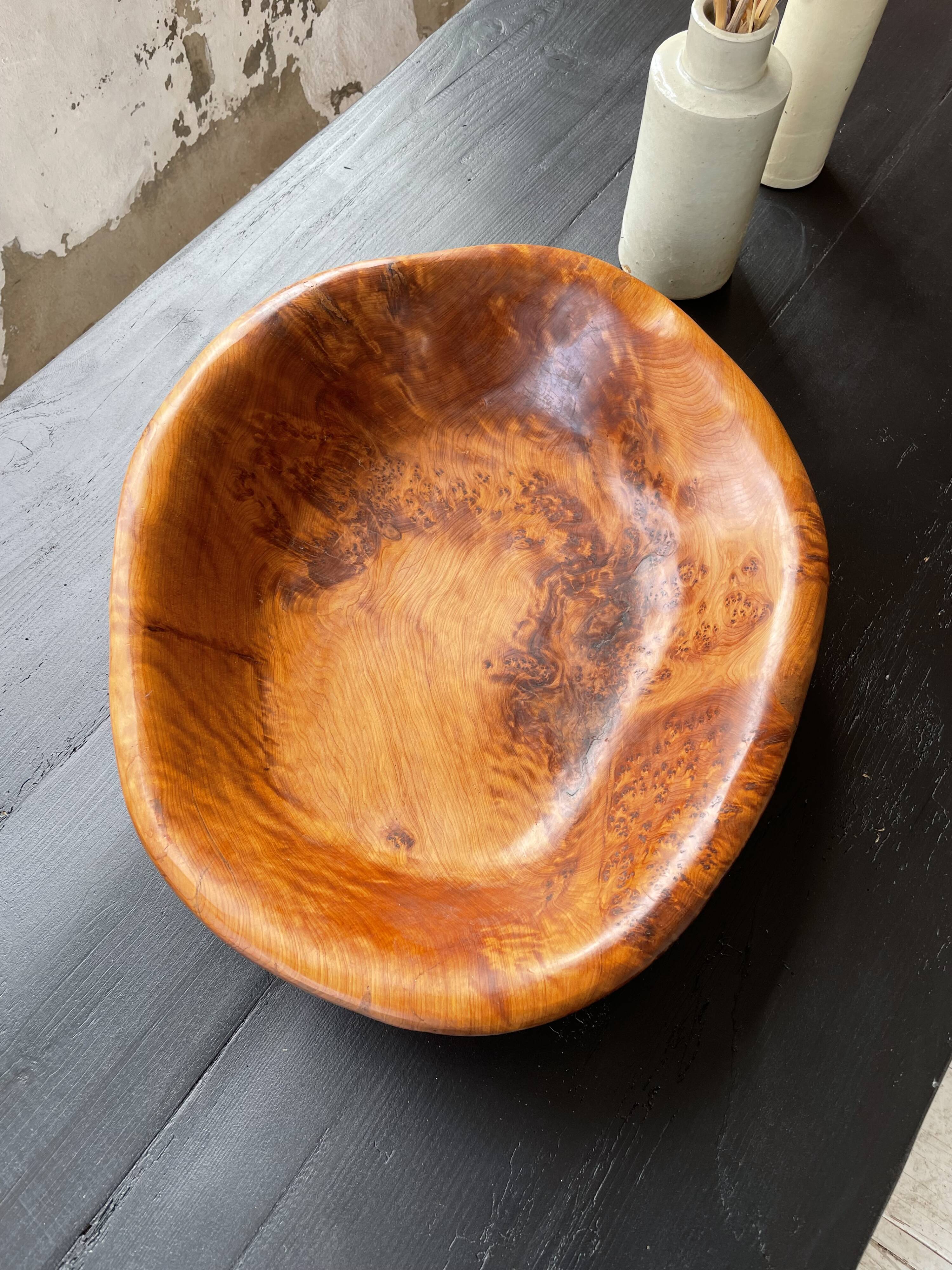 XL thuja root wooden dish