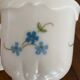 9 coffee cups arcopal model forget-me-not.