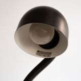 Black snake lamp