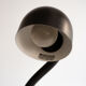 Black snake lamp