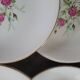Gien 50s dinner plates