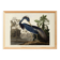 Poster on the Tricolour Heron, based on an old engraving from 1827.