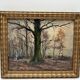HSP of Edgard d'Hont (1861 - 1941) - an old oak