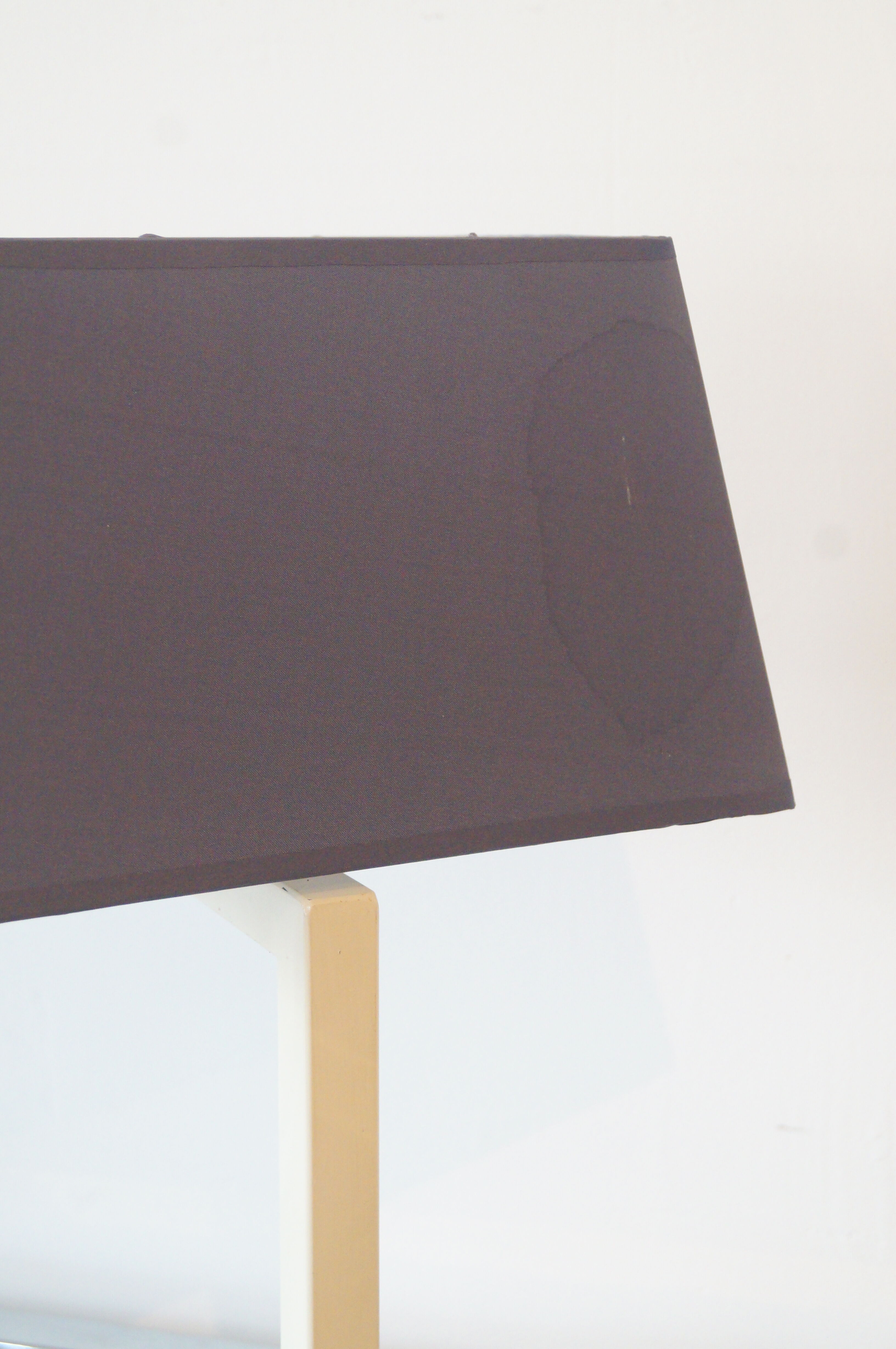 Lamp Phanera france 1970