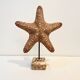 XXL Vintage Natural Starfish on Marble Base Cabinet of Curiosities