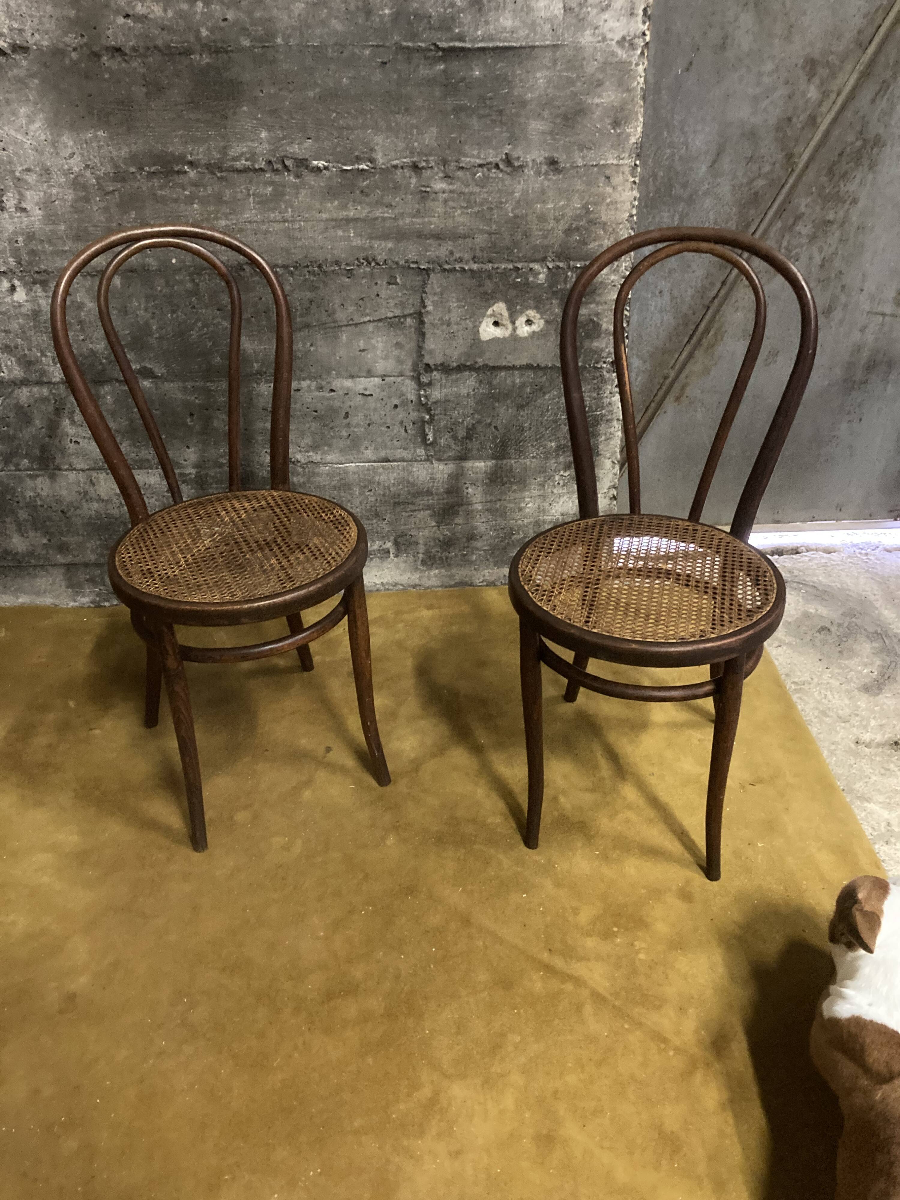 Duo of chairs bistrot Thonet early XXth