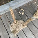 Set of 2 stools brutalist tripod oak/beech