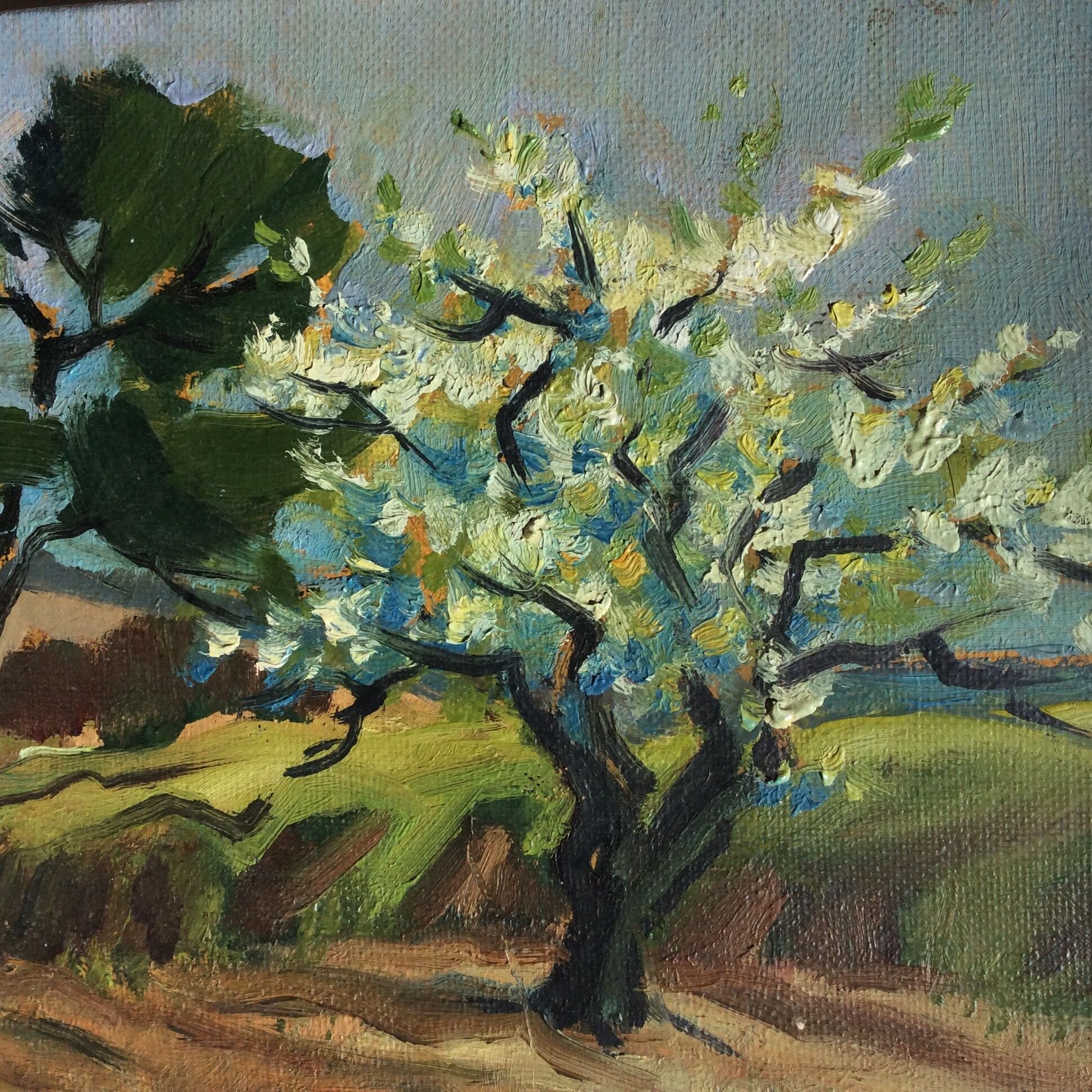 Oil on canvas - Almond in bloom in Provence