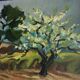 Oil on canvas - Almond in bloom in Provence