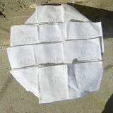 Tablecloth and its twelve towels