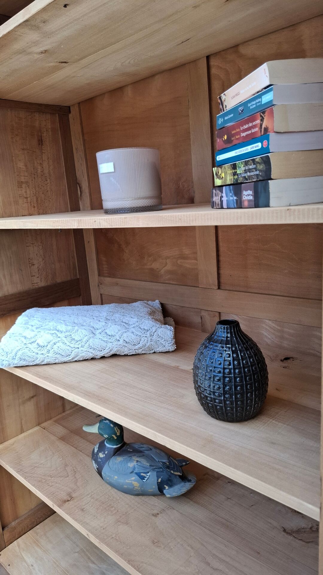 Renovated Parisian wardrobe